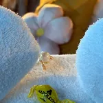 호텔 Havenzicht Westhoek Marina 니우포르트